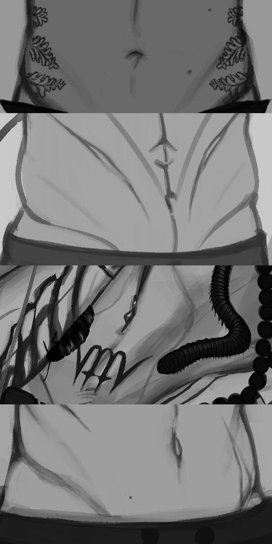 2024 | current belly collection